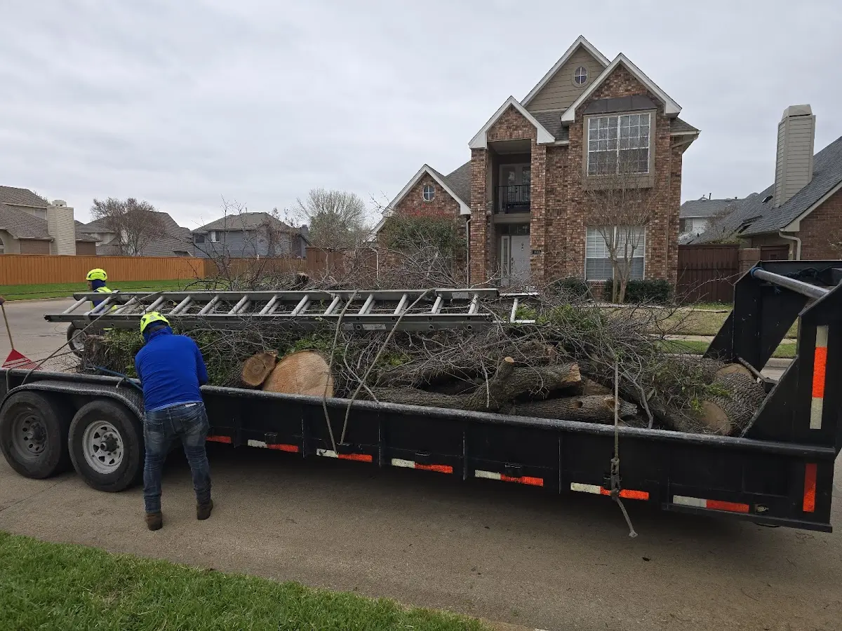 Expert Tree Fertilization with proper safety equipment in Swanzey